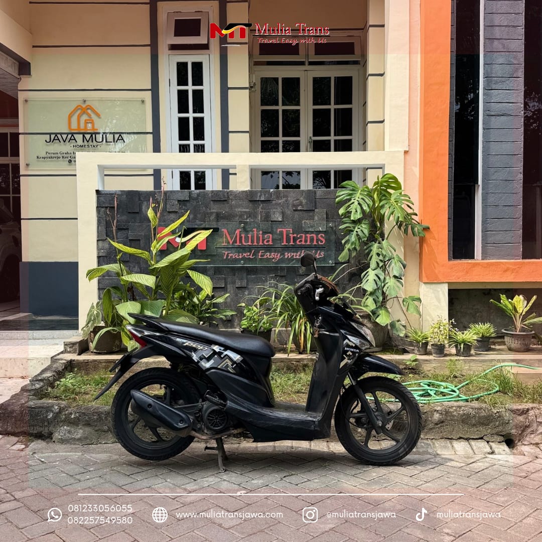 Sewa Motor Honda Beat Pop Murah Terdekat Pasuruan Dekat Gunung Bromo