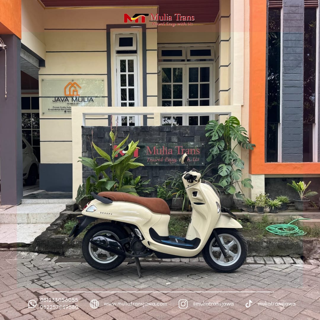 Sewa Motor Honda Scoopy Pasuruan Murah Terdekat Bromo