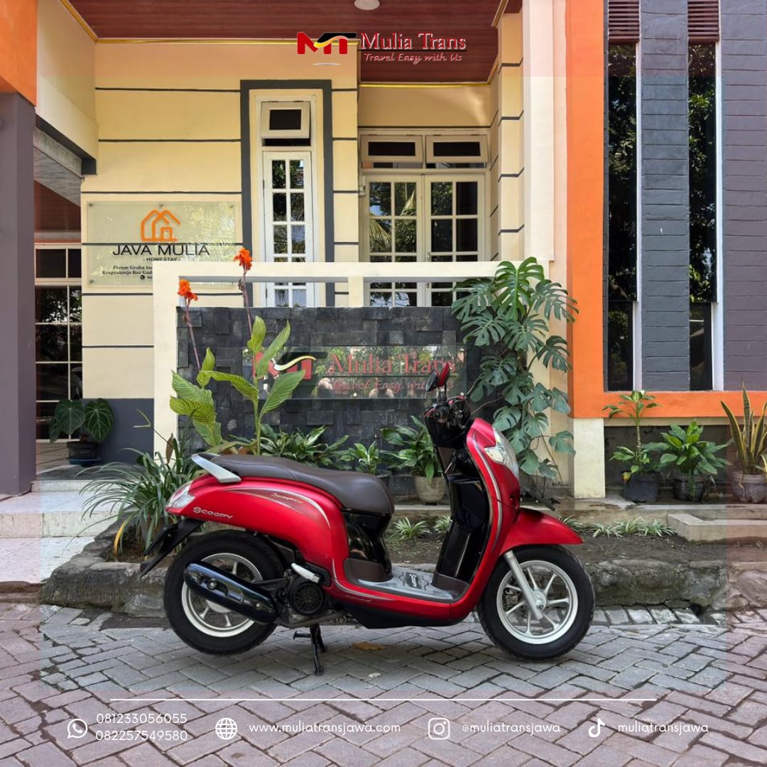 Sewa Motor Honda Scoopy Pasuruan Murah Terdekat Dengan Bromo