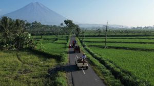Teras Semeru Pronojiwo Pesona Wisata Alam Instagramable dengan Latar Gunung Semeru di Lumajang
