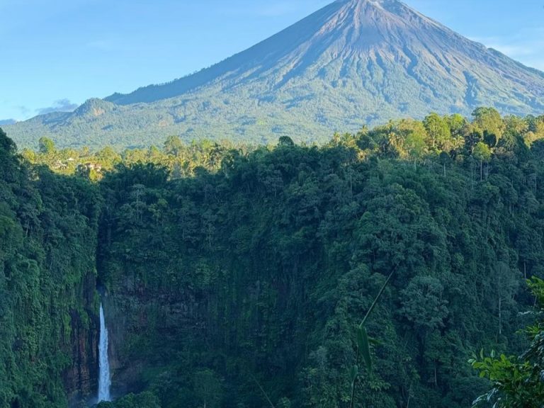 Panorama Kapas Biru Lumajang Viral
