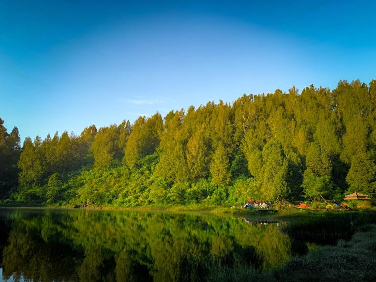 Ranu Regulo Lumajang Tiket Masuk Camping Lokasi dan Pesona Danau di Kaki Semeru