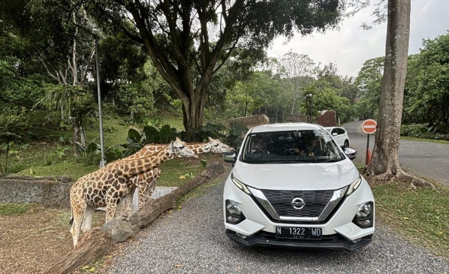 Paket Wisata Tour Pasuruan 1 Hari