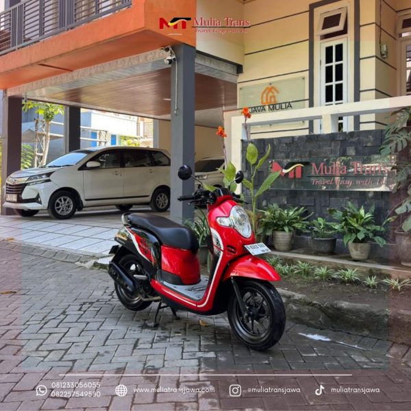 Rental Motor Honda Scoopy Pasuruan Murah Terdekat Dengan Bromo