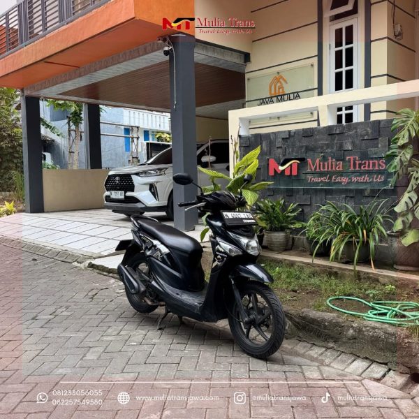 Sewa Motor Honda Beat Pop Murah Terdekat Pasuruan Dekat Gunung Bromo