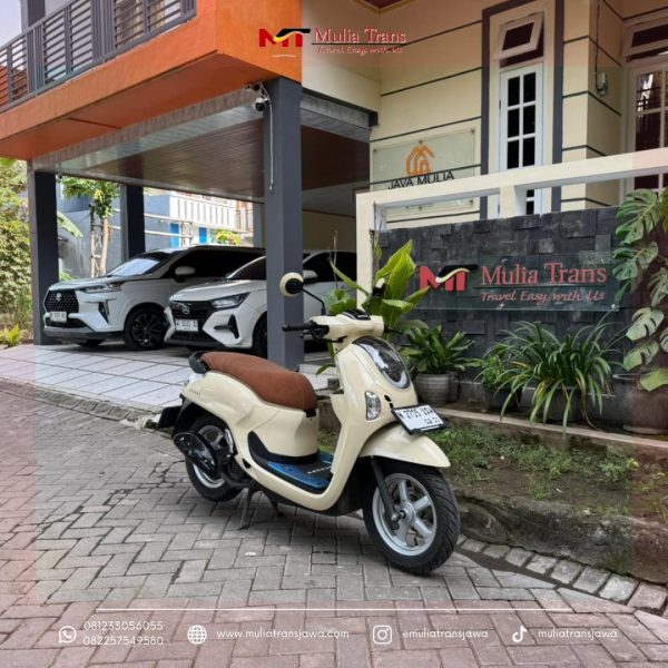 Sewa Motor Honda Scoopy Pasuruan Murah Terdekat Bromo