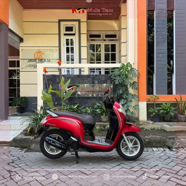 Sewa Motor Honda Scoopy Pasuruan Murah Terdekat Dengan Bromo