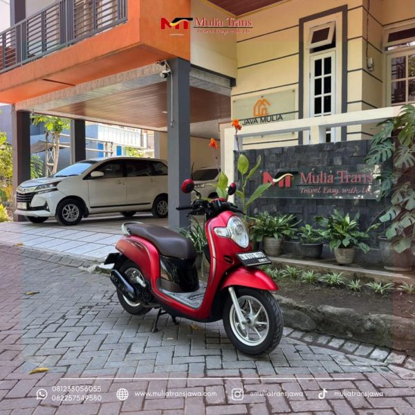 Sewa Motor Honda Scoopy Pasuruan Murah Terdekat Dengan Bromo