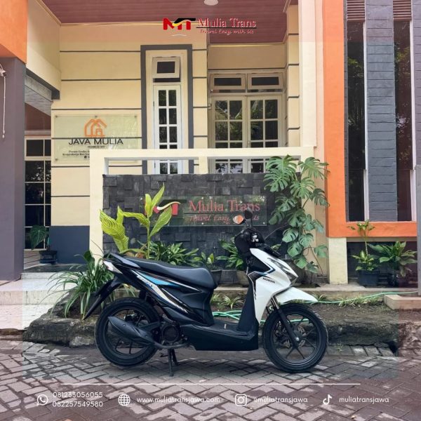 Sewa Motor Matic Honda Beat Murah Terdekat Pasuruan